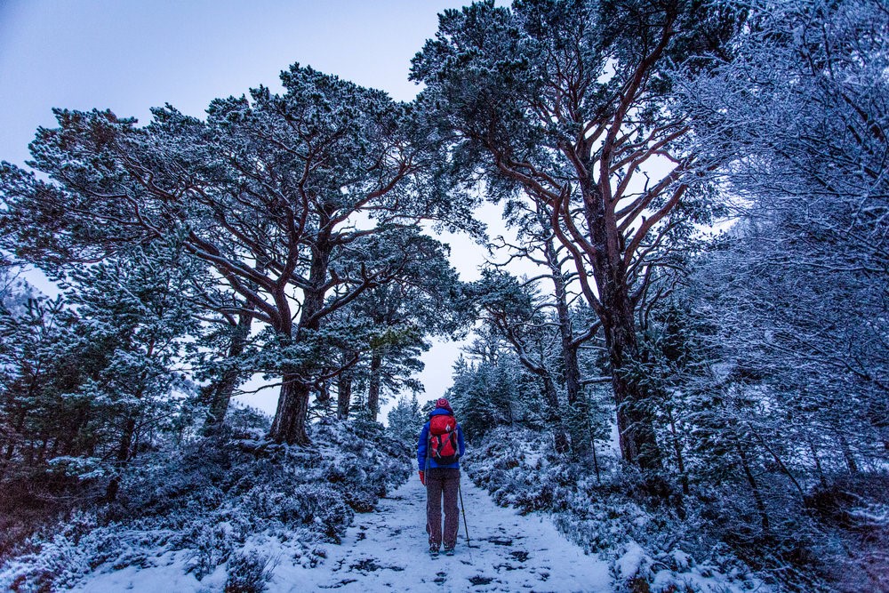  Self Improvement Gurus